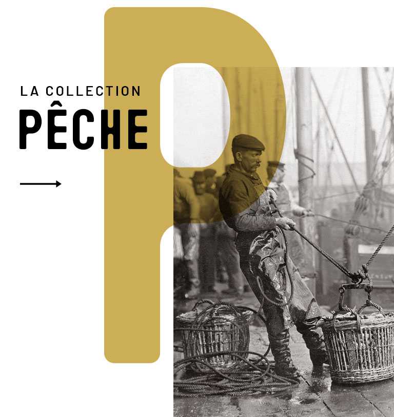 Collection Pêche