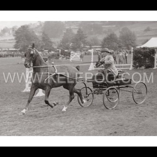 Photo d'époque Equitation n°09 - photographe Victor Forbin