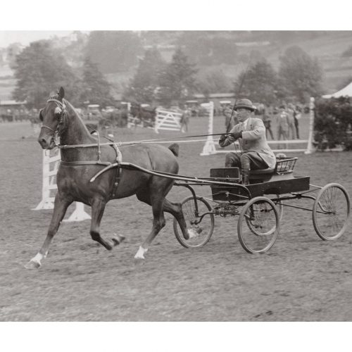 Photo d'époque Equitation n°09 - photographe Victor Forbin