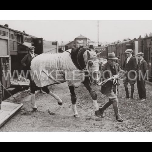 Photo d'époque Equitation n°17 - photographe Victor Forbin
