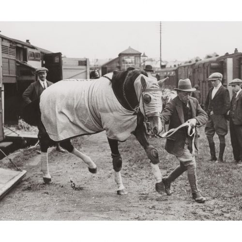 Photo d'époque Equitation n°17 - photographe Victor Forbin