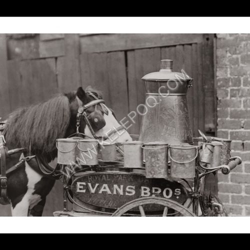 Photo d'époque Equitation n°18 - photographe Victor Forbin