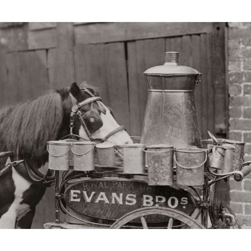 Photo d'époque Equitation n°18 - photographe Victor Forbin