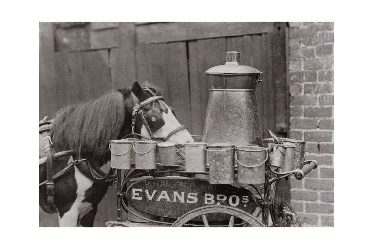 Photo d'époque Equitation n°18 - photographe Victor Forbin