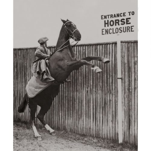 Photo d'époque Equitation n°21 - photographe Victor Forbin