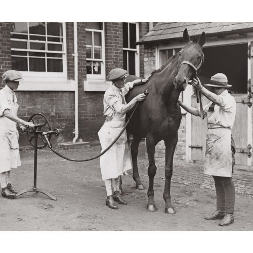 Photo d'époque Equitation n°25 - photographe Victor Forbin