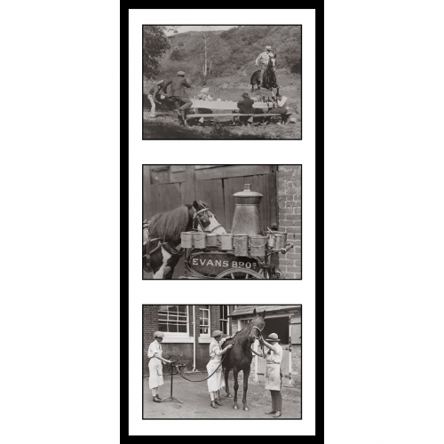 Photo d'époque équitation n°30 - triptyque - Victor Forbin