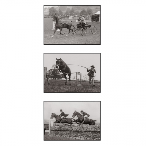 Photo d'époque équitation n°31 - triptyque - Victor Forbin