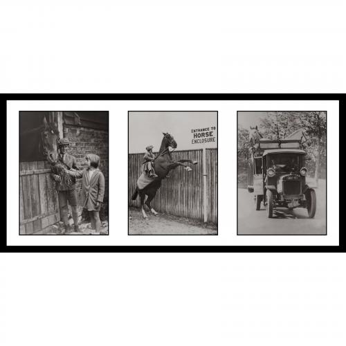 Photo d'époque équitation n°32 - triptyque - Victor Forbin