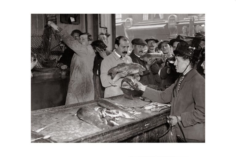 Photo d'époque commerce n°03 - poissonnerie - photographe Victor Forbin