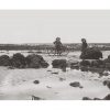 Photo d'époque mer n°36 - Villerville 1913