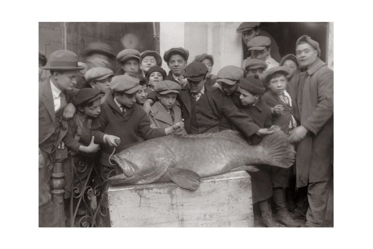 Photo d'époque pêche n°29 - photographe Victor Forbin