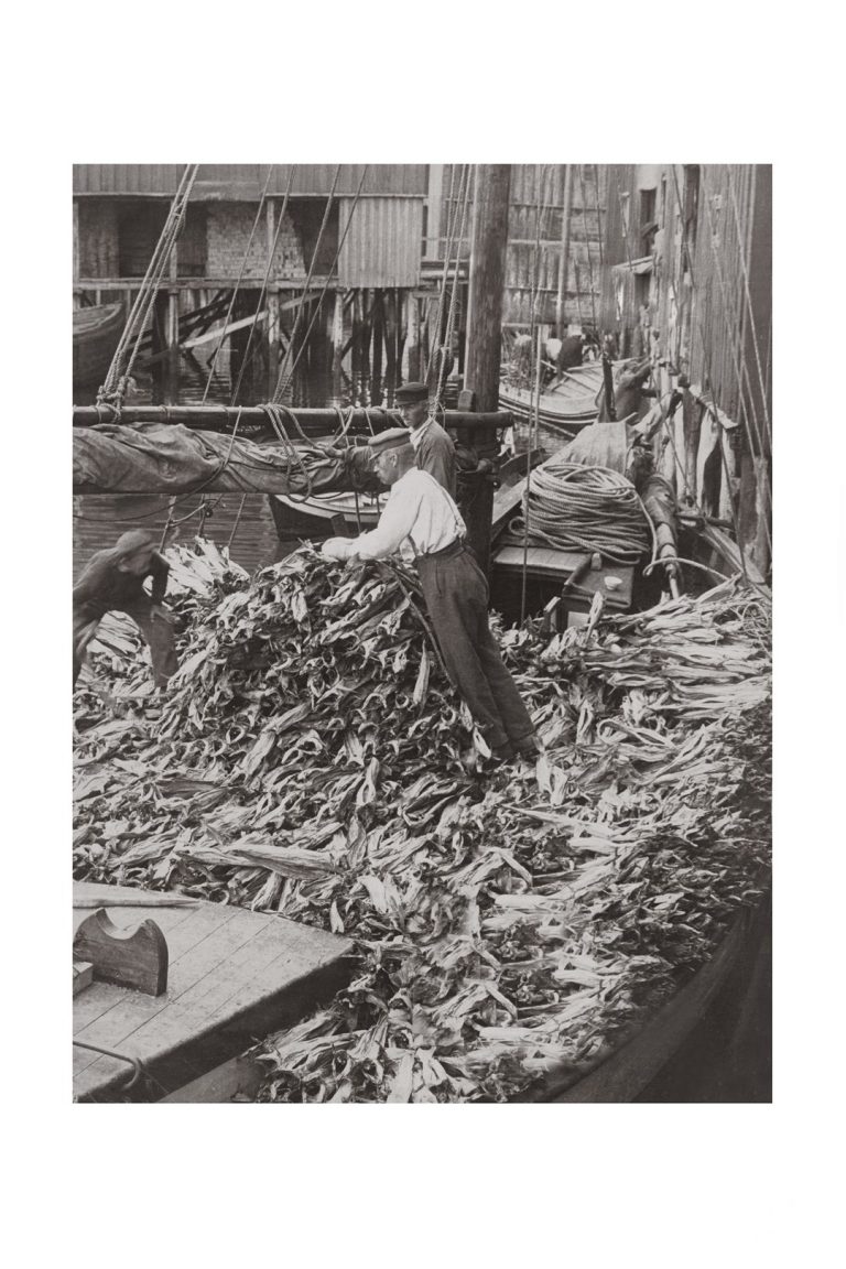 Photo d'époque pêche n°35 - photographe Victor Forbin