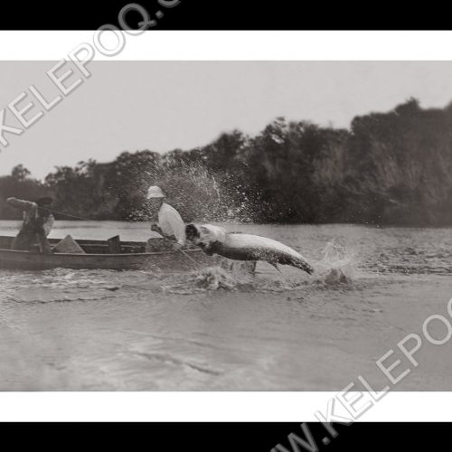 Photo d'époque pêche n°19 - photographe Victor Forbin