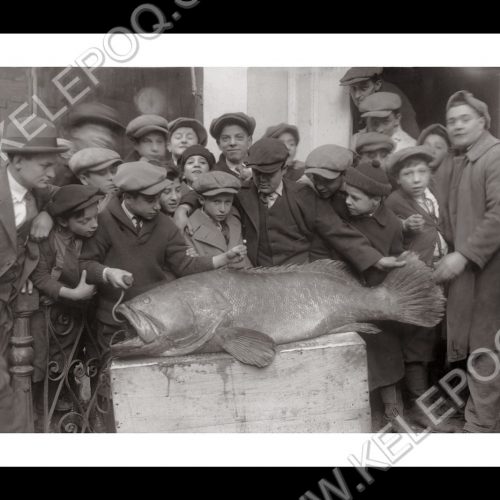 Photo d'époque pêche n°29 - photographe Victor Forbin