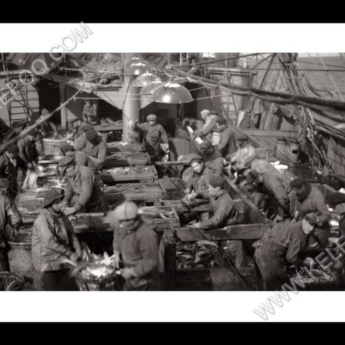 Photo d'époque pêche n°31 - photographe Victor Forbin