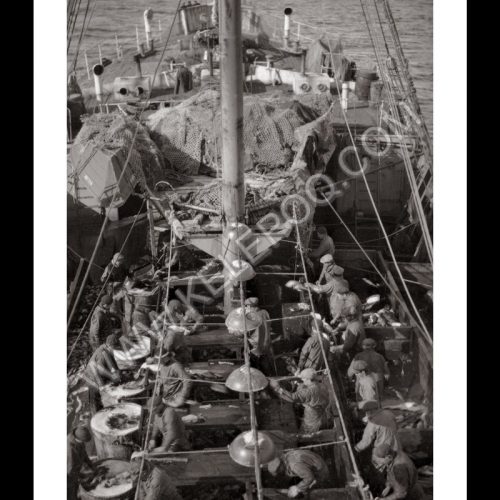 Photo d'époque pêche n°33 - photographe Victor Forbin
