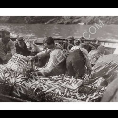 Photo d'époque pêche n°34 - photographe Victor Forbin