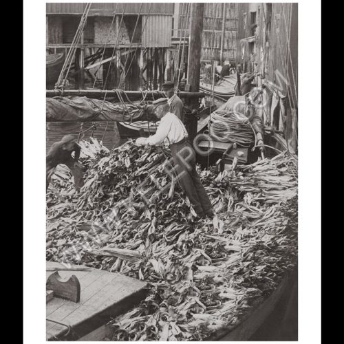 Photo d'époque pêche n°35 - photographe Victor Forbin