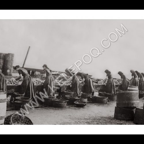 Photo d'époque pêche n°57 - photographe Victor Forbin