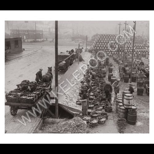Photo d'époque pêche n°59 - photographe Victor Forbin