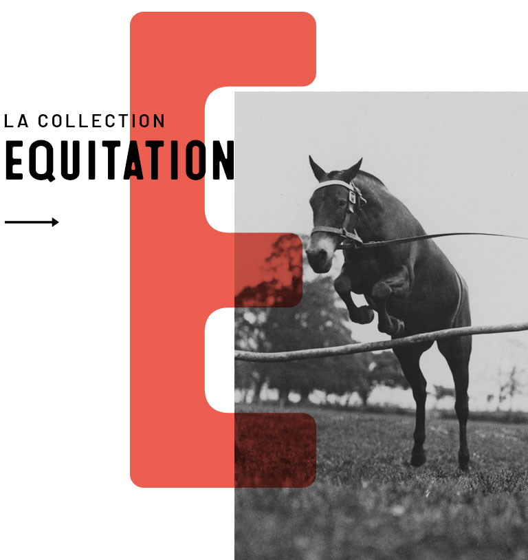 Collection Equitation