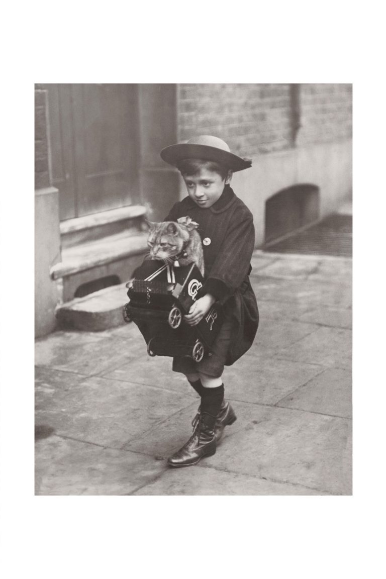 Photo d'époque Enfance n°13 - petit garçon avec petit chat