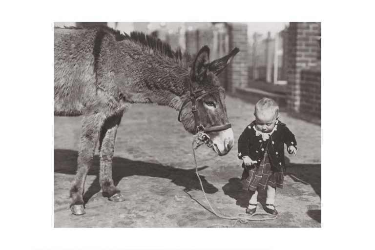 Photo d'époque tendre enfance n°18 - bébé avec un âne