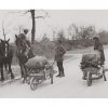 Photo d'époque campagne n°08 - ramassage bois - 1923