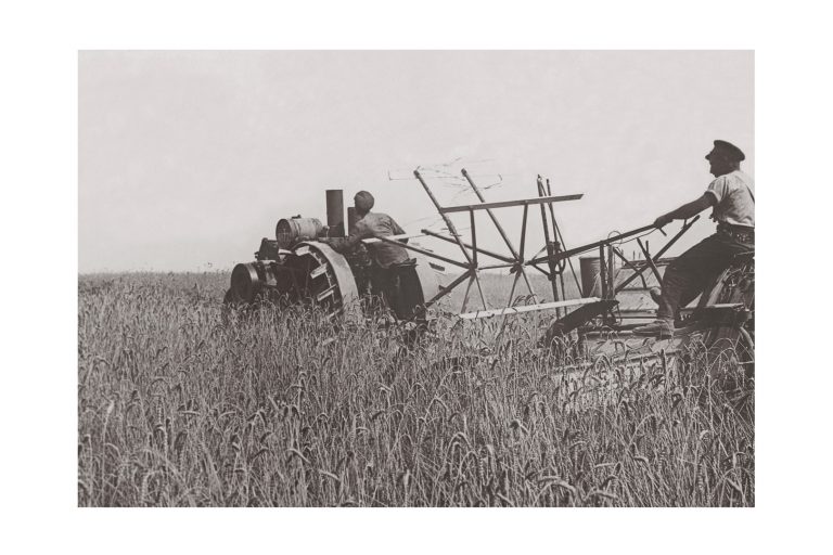 Photo d'époque campagne n°08 - les soldats récoltent en France