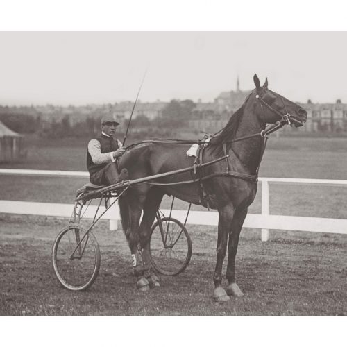 Photo d'époque Equitation n°34 - trotteur - Southend-on-Sea - 1901 - photographe Victor Forbin