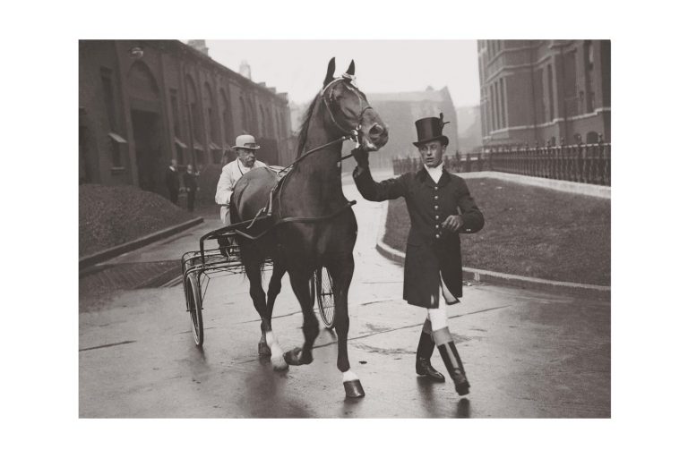 Photo d'époqe Equitation n°35 - cheval - belle époque