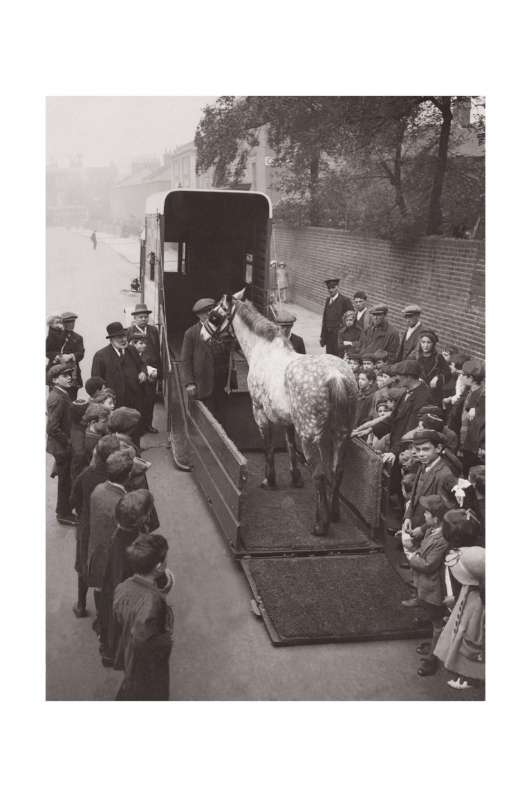 Photo d'époque Equitation n°36 - nouvelle ambulance équine - photographe Victor Forbin