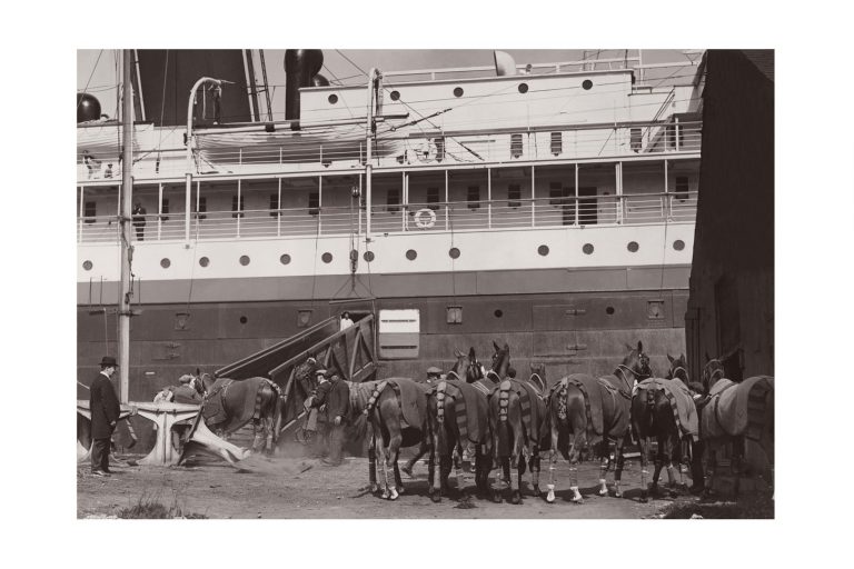 Photo d'époque Equitation n°37 - chevaux de polo anglais