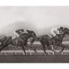 Photo d'époque Equitation n°39 - W.S. Cox Plate - photographe Victor Forbin