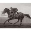 Photo d'époque Equitation n°40 - Melbourne Cup - photographe Victor Forbin