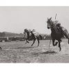 Photo d'époque Equitation n°41 - Woolwich garrison searchlight tattoo