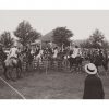 Photo d'époque Equitation n°47 - Ranelagh Ladies Club Sports