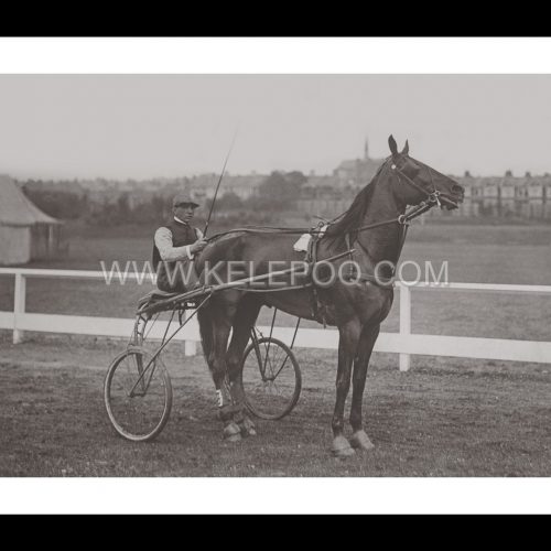 Photo d'époqe Equitation n°34 - trotteur - Southend-on-Sea - 1901 - photographe Victor Forbin