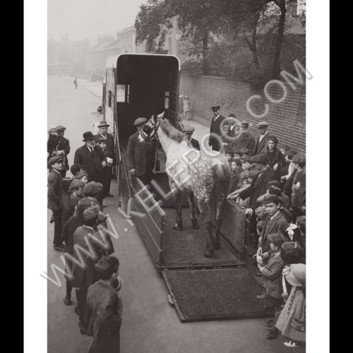 Photo d'époque Equitation n°36 - nouvelle ambulance équine - photographe Victor Forbin