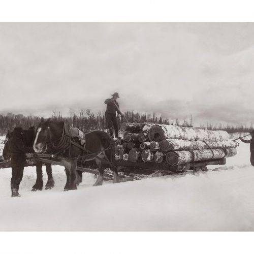 Photo d'époque montagne n°91 - chargement de bois au Canada en 1918