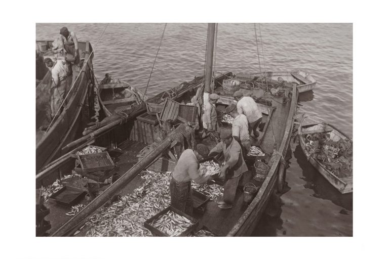 Photo d'époque Pêche n°77 - Arrivée des sardiniers - Quiberon