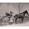 Photo d'époque campagne n°17 - ramassage du bois en charrette à cheval - Photographe Victor Forbin