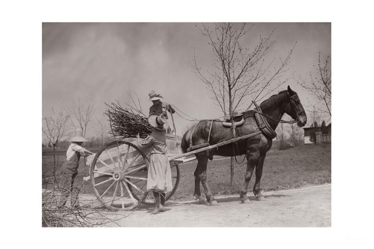 Photo d'époque campagne n°17 - ramassage du bois en charrette à cheval - Photographe Victor Forbin