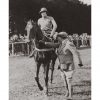 Photo d'époque Equitation n°48 - Ms Rickaby sur Bogus - Newmarket