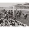 Photo d'époque Equitation n°50 - Ascot Stakes, Angleterre
