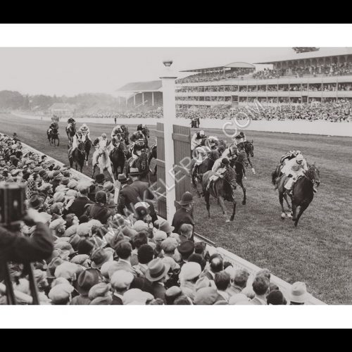 Photo d'époqe Equitation n°50 - Ascot Stakes, Angleterre