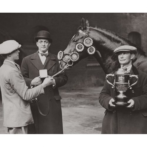 Photo d'époque Equitation n°51 - remise des prix - étalon