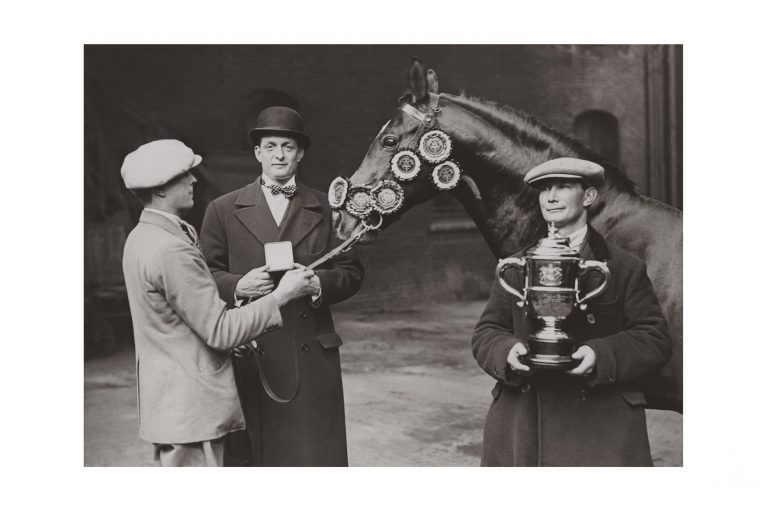 Photo d'époque Equitation n°51 - remise des prix - étalon