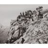 Photo d'époque Montagne n°100 - Chasseurs Alpins en manoeuvres